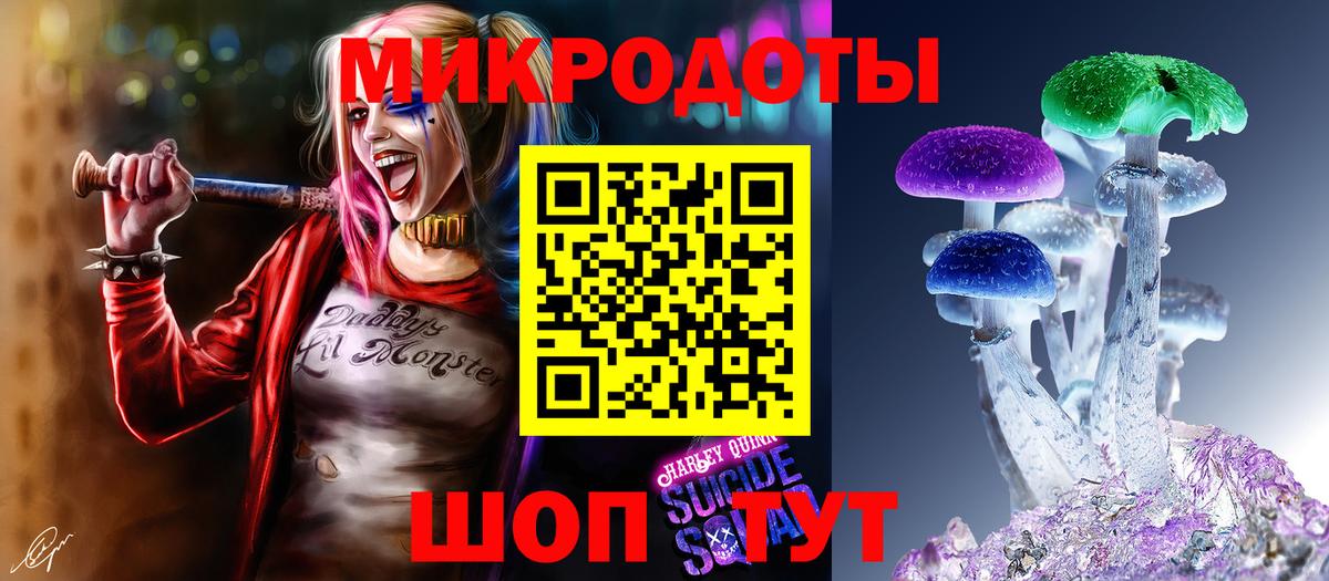 Псилоцибиновые грибы Magic Shrooms Камышлов